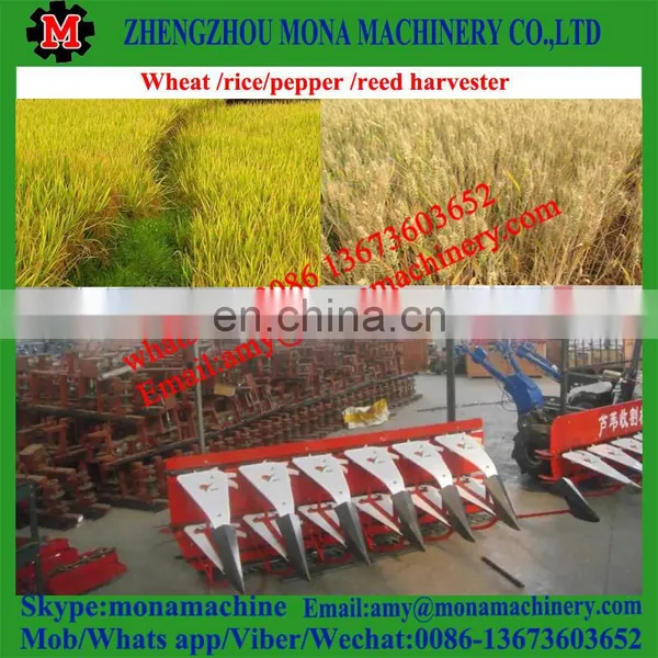 Hot Sale Easy Operate Reed/bulrush Cutting Machine/windrower/harvester Harvesting Machine photo-6