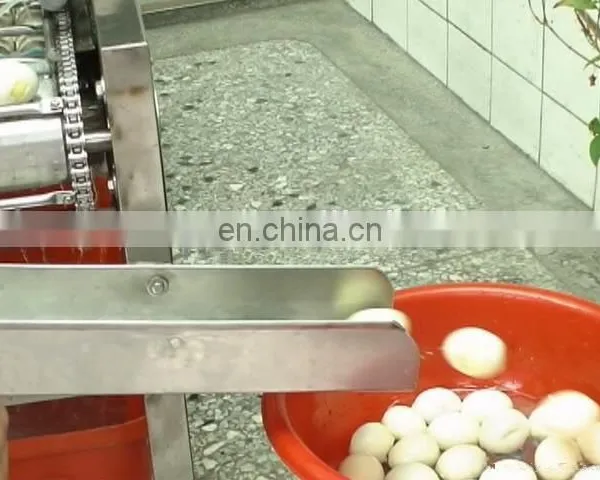 Automatic Exported Type Boiled Quail Egg Shell Removal Machine With Factory Price for Sale photo-4