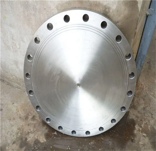 Customized Cr Cf Plate Flange For Pressure Vessel photo-5