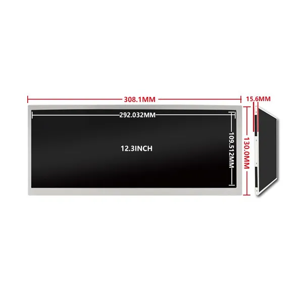 12.3 Inch LCD Display Screen 1920 * 720 Central Control Car Module HannStar LCD Screen HSD123KPW2-D10 photo-3