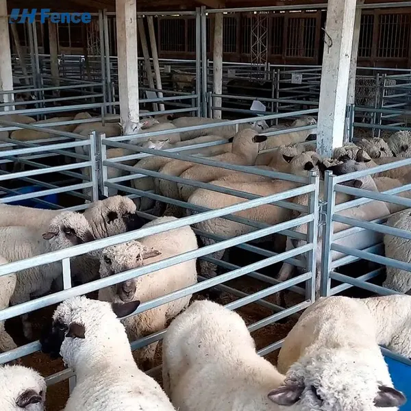 Heavy Duty Welded Wire Mesh PVC Coated 6 Feet Galvanized Steel Frame Eco-Friendly Rodent Proof Farm Use Security Fence photo-2