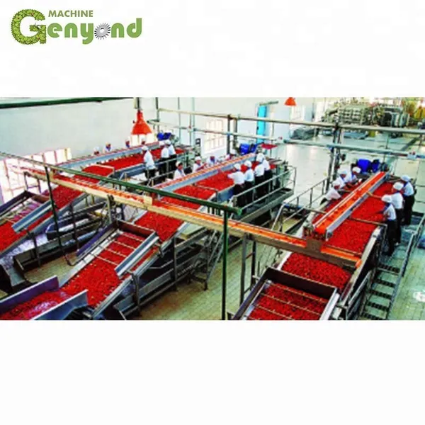 Industrial Tomato Paste Processing Machine Tomato Sauce Production Line photo-3