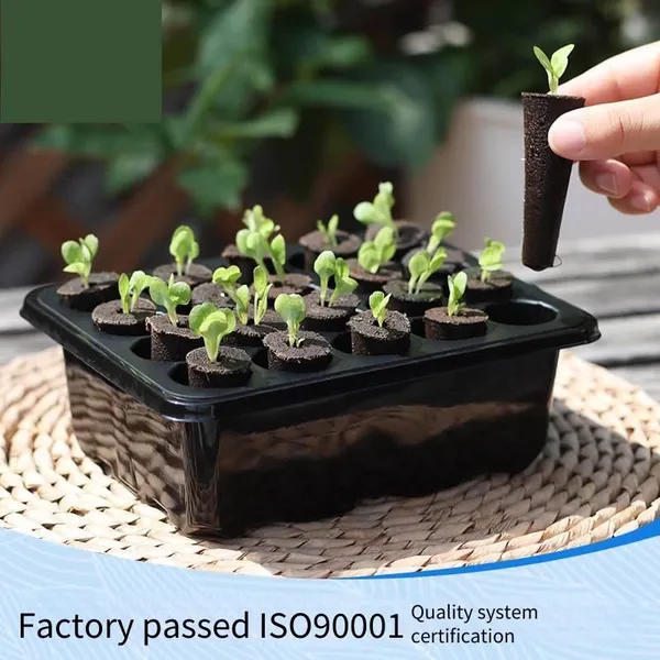 Wholesale New Style Seedling Tray Sets With 20 Holes, Amazon Planter, Factory - Supplied Seedling Trays photo-2