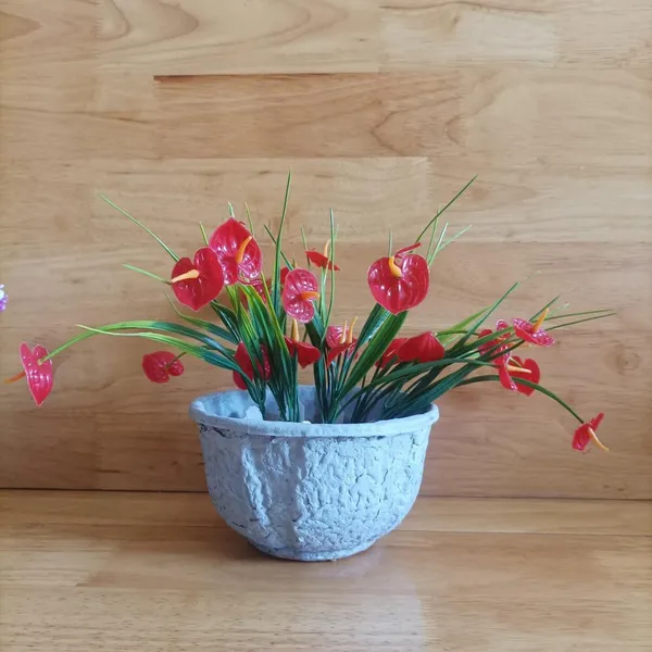 Molded Pulp Tabletop Planter, 15-Day Free Return, 24-Hour Customer Support, Reliable Service