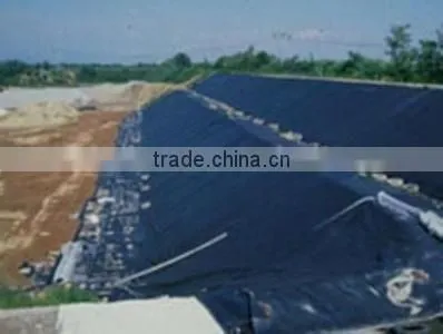 Blue Color Geomembrane photo-2