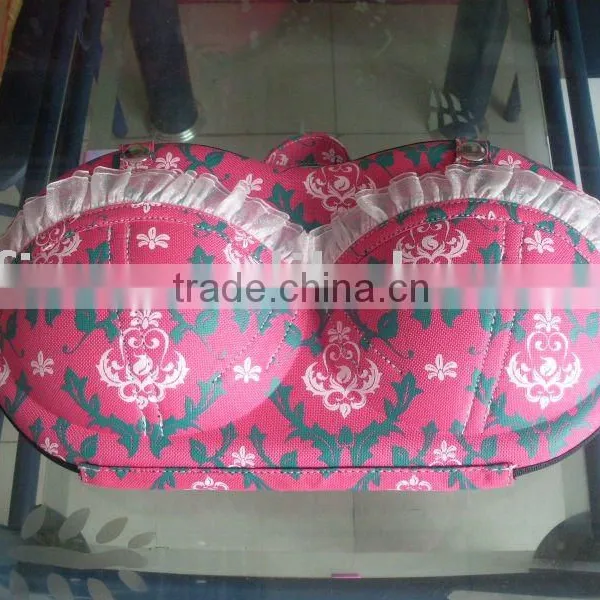 EVE Bag for Bra to Travelling