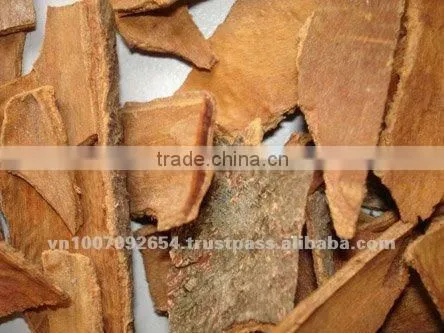 BROKEN CASSIA