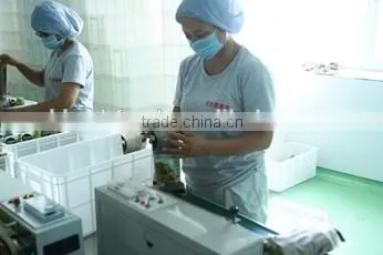 China CE Certificate Commercial Pet/ Fish Feed Pellet Machine photo-3