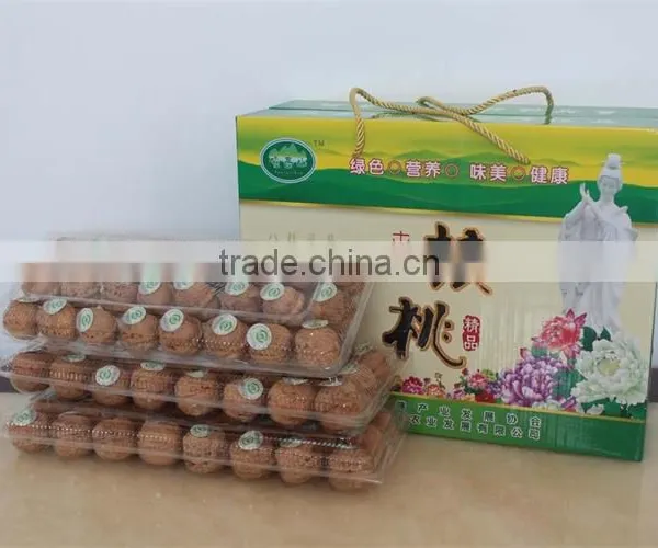 grade a walnut kernels,walnut without shell with high protein18mm-24mm