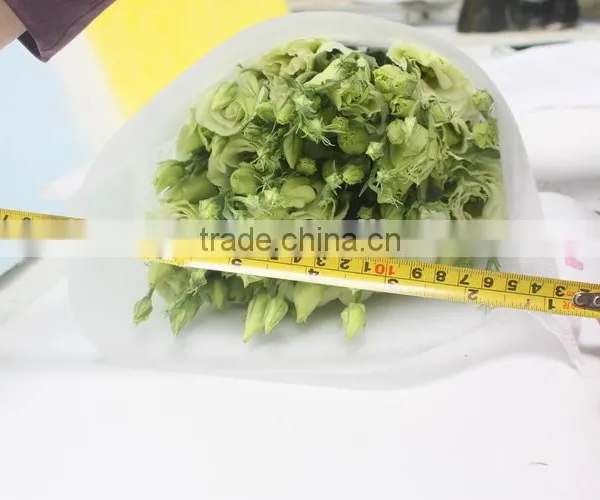 Wide Varieties New Coming Beautiful Hybrid Eustoma Grandiflorum photo-4