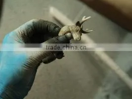 Animal Empire PVC Animal Ring Toys, Soft Plastic Wild Animal Ring Toy for Kids,pvc Animal Ring Toy QQ228846 photo-6