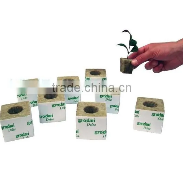 Seedling Rockwool Hydroponic System photo-4