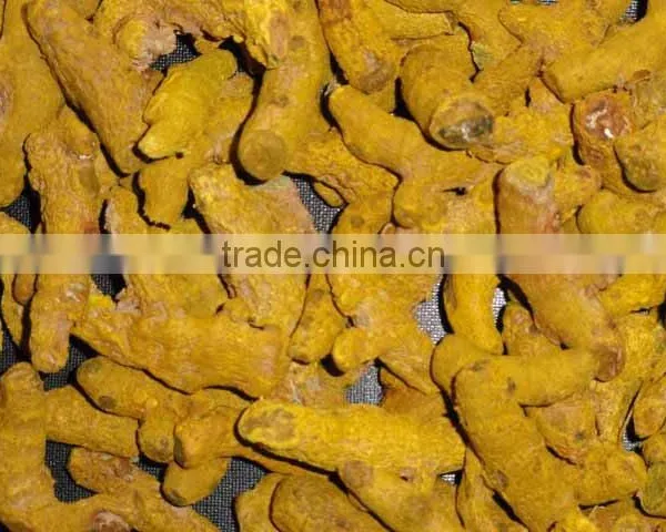 Turmeric Double Polished