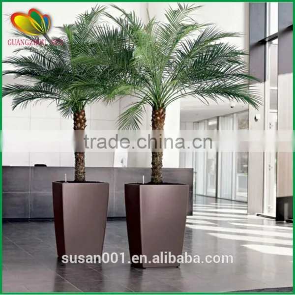 Outdoor and Indoor Decorative Artificial Coconut Palm Tree photo-4