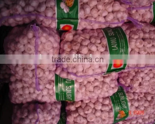 Chinese Normal Garlic photo-6