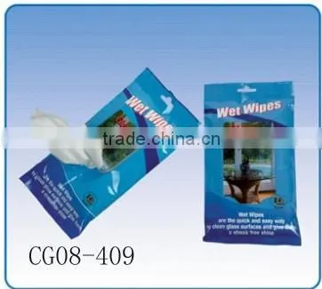 Glass Wipes