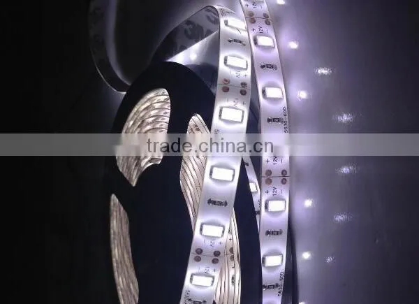 Dc12v 24v Brilliant Flexible Led Strip Light Ribbon Light photo-3