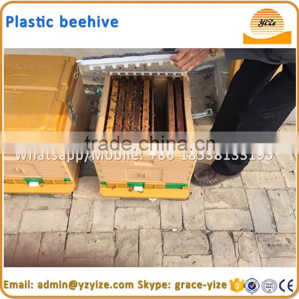 Beehive Manufacturers Supply Wooden Beehive, Plastic Beehive photo-2