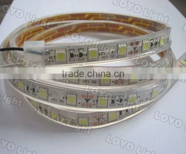 IP68 RGB Led Strip Lighting