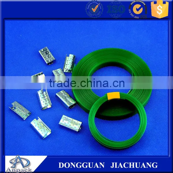 Green PET Strap Supplier photo-3