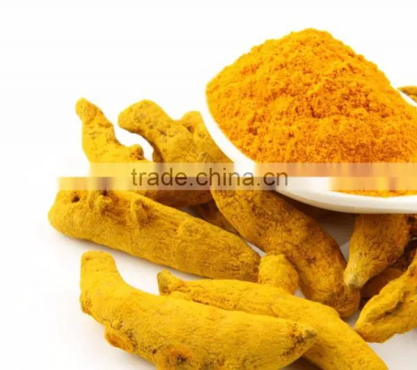 Quality Turmeric Finger Bulp