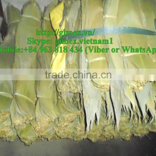 Big Size Green Bamboo Leaves photo-3