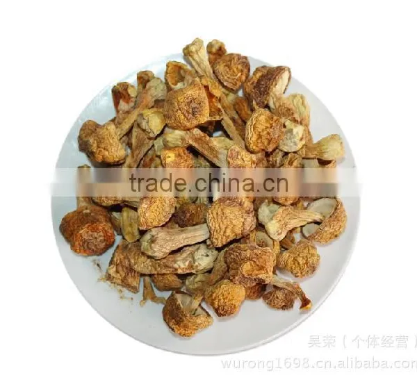 Matsutake Mushroom photo-5