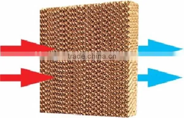 Advanced Chicken House Evaporative Cooling Pad for Poultry Houses photo-4