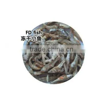 Freeze Dried Fish