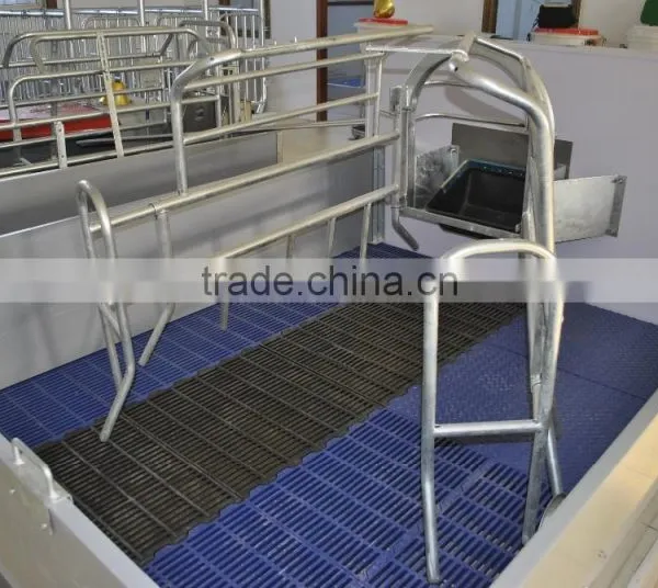Farrowing Crates for Pigs/farrowing Crate Design/farrowing Crate