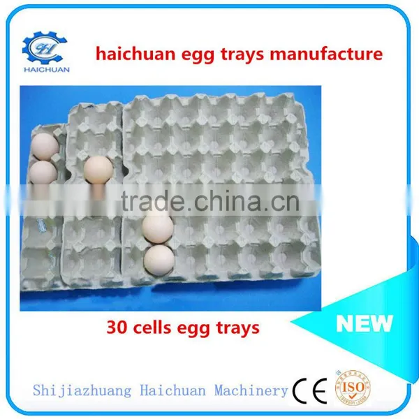 Disposable Paper Plates Paper Trays Factory photo-4