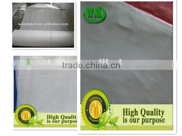High Quality Exported HDPE Scrim Tarpaulin Roll