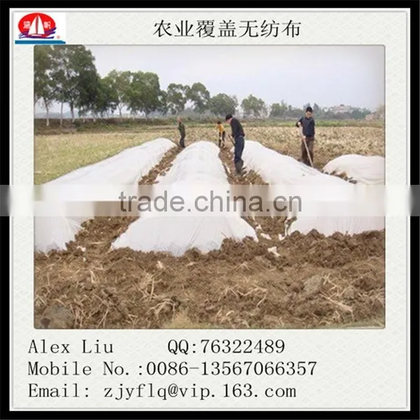 Sunscreen Insulation Agricultural pp Non Woven Mulch photo-6
