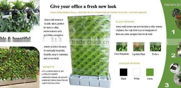 Double Sided Green Wall System for Office photo-5