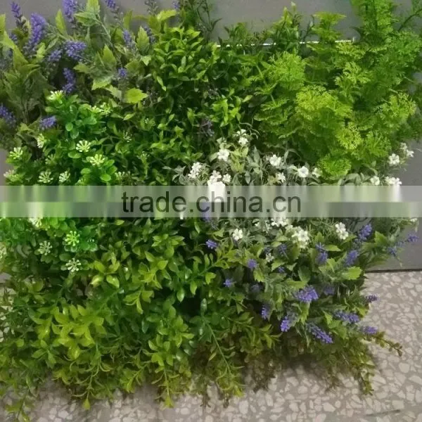 Decorative Frame Wall Hanging Grass Plants photo-3
