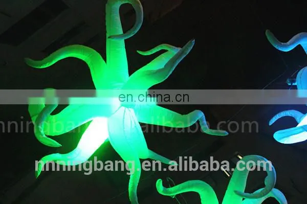 Decoration Inflatable Balloon for Party Decoration photo-3