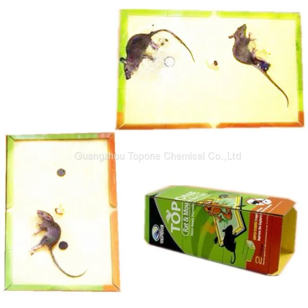 Pest Trap of Rat and Mouse Trap for Stick Mouse From Guangzhou Factory photo-5