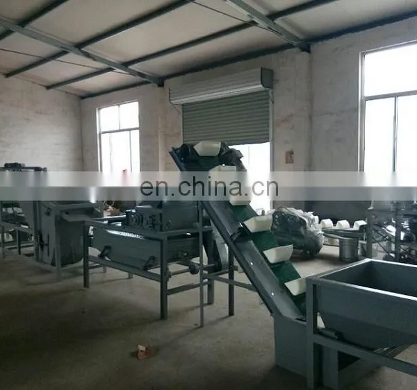 Automatic Almond Huller Machine Line for Sale photo-5