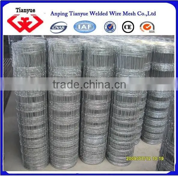Electro Galvanized Cattle Fence(ISO and SGS) photo-2