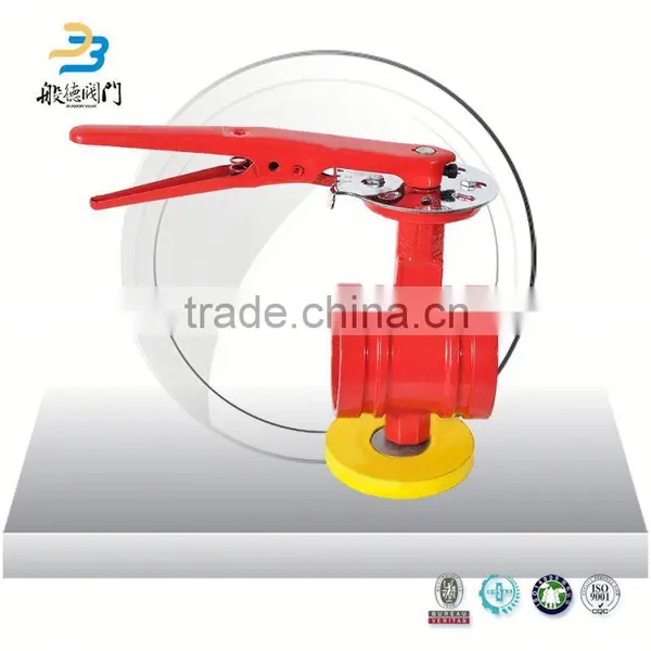 Ci Groove Valve Video Butterfly Valve Without Pin photo-6