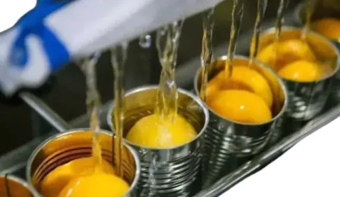 Professional Full Automatic Turnkey Project Canned Fruit Production Line photo-3