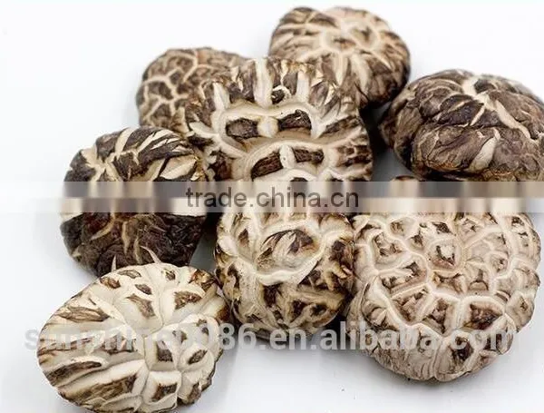 High Quality Dried Shiitake Flower Mushroom photo-2
