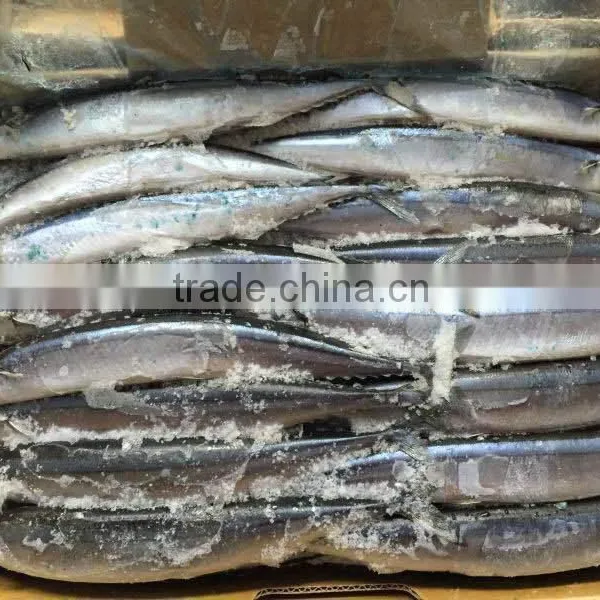 1# 120-140G Frozen Pacific Saury From China photo-3