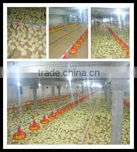 Cheap Good Quaility Automatic Poultry Nipple Drinking System for Farm photo-2