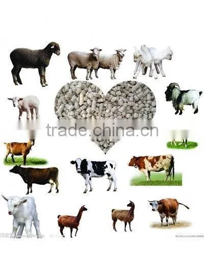High Efficient Forest Farm Used Animal Feed Pellet Mill for Home Use photo-6