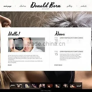 Freelance Photography photo-2