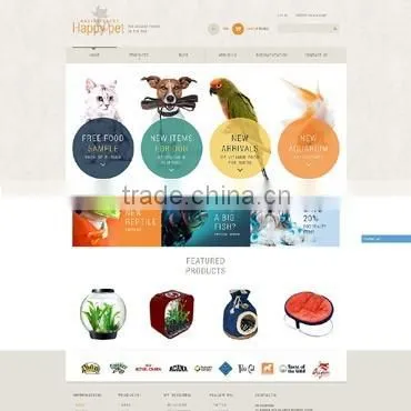 Web Design Development