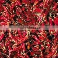 Byadgi Chillies photo-4