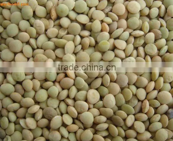 2013 Lentils