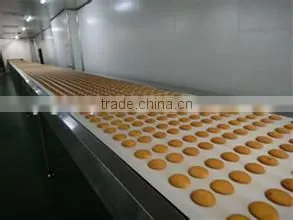 Full Automatic Hard Biscuit Equipment photo-6